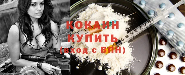 индика Волосово