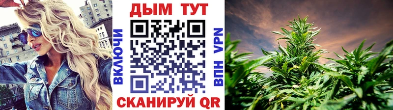 Купить закладки  Солнечногорск  Каннабис OG Kush 